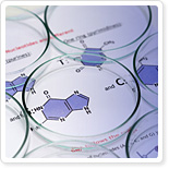 DNA 甲基化定序 (DNA Methylation Sequencing) - 提供基因體、蛋白質體、代謝體等整合性分析技術服務